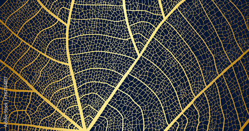 leaf line art background vector, wallpaper and print, house plant, Vector illustration.
