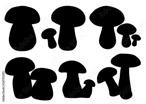 White mushrooms and aspen.