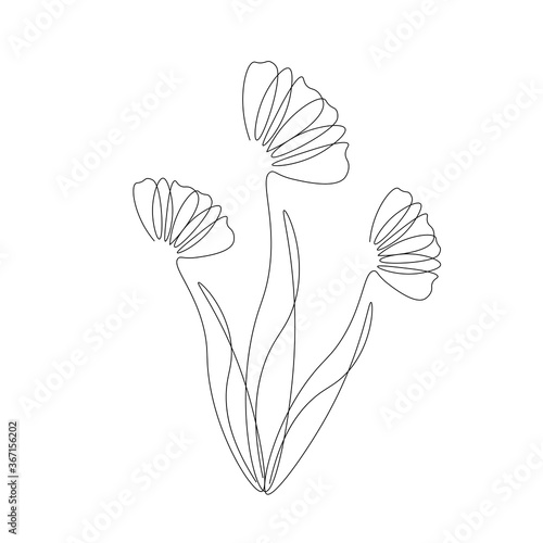 Flowers silhouette line drawing. Vector illustration