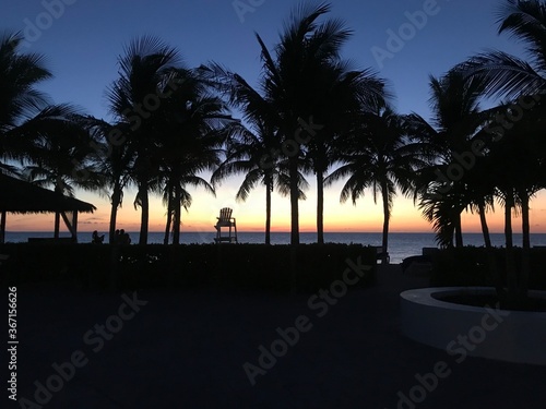 San Juan, Puerto Rico, sunset, beach, palm trees © Melissa
