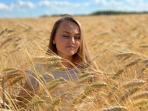 beautiful woman walks in a field with ears, takes pictures in a wheat field
