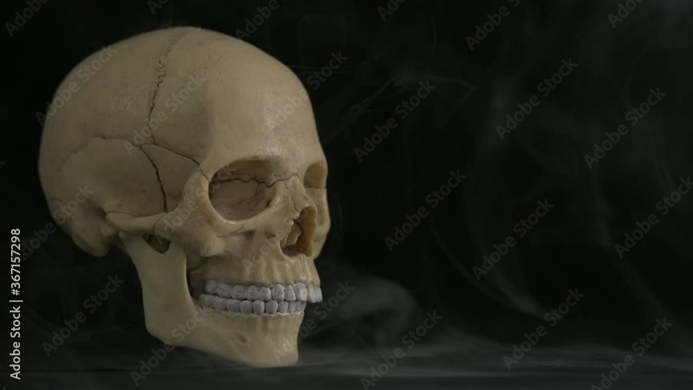 Halloween with skull in the room. Human skull in the haze. Halloween decoration. Halloween with skull in the room. Human skull in the haze. Halloween decoration.