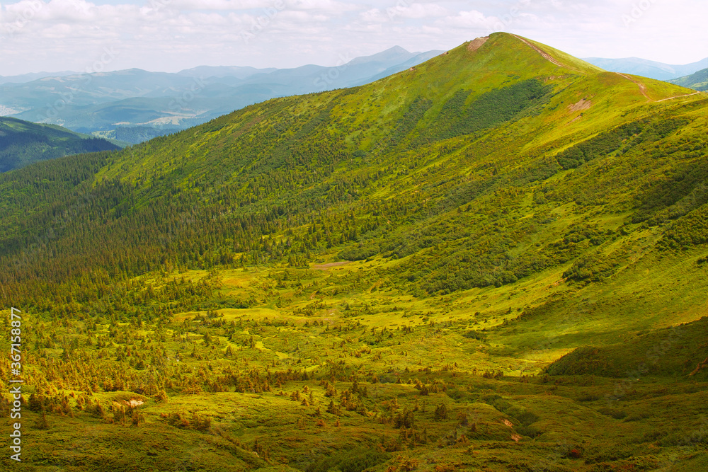 Obraz premium View of the panorama of the Carpathian Mountains