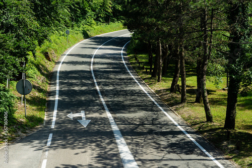 summer road from curve to the crossroad