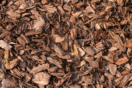 A pine bark mulch background shot in the afternoon sun.