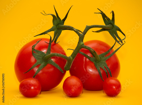 Tomaten photo