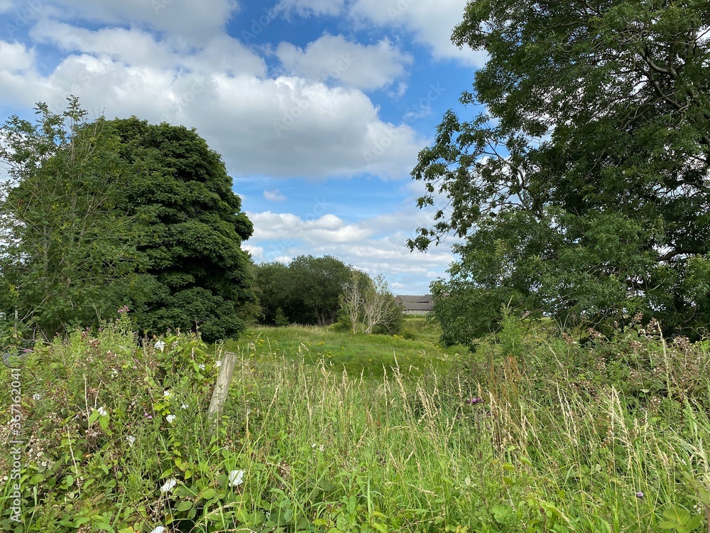 A stone barn, partially hidden between the trees, with long grasses, and wild plants, in the foreground near, Elland, UK A stone barn, partially hidden between the trees, with long grasses, and wild plants, in the foreground near, Elland, UK