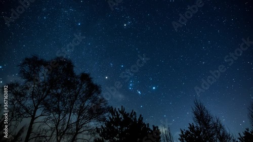 Wallpaper Mural 流星群の夜 Torontodigital.ca