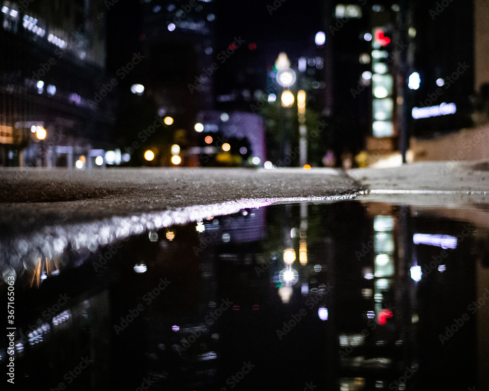 Fototapeta premium Night reflection