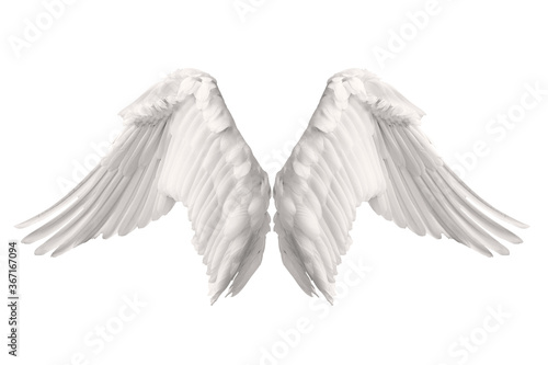 Angel wings isolated on gray background. This has clipping path.