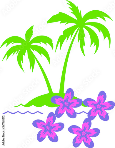 tropical palm tree