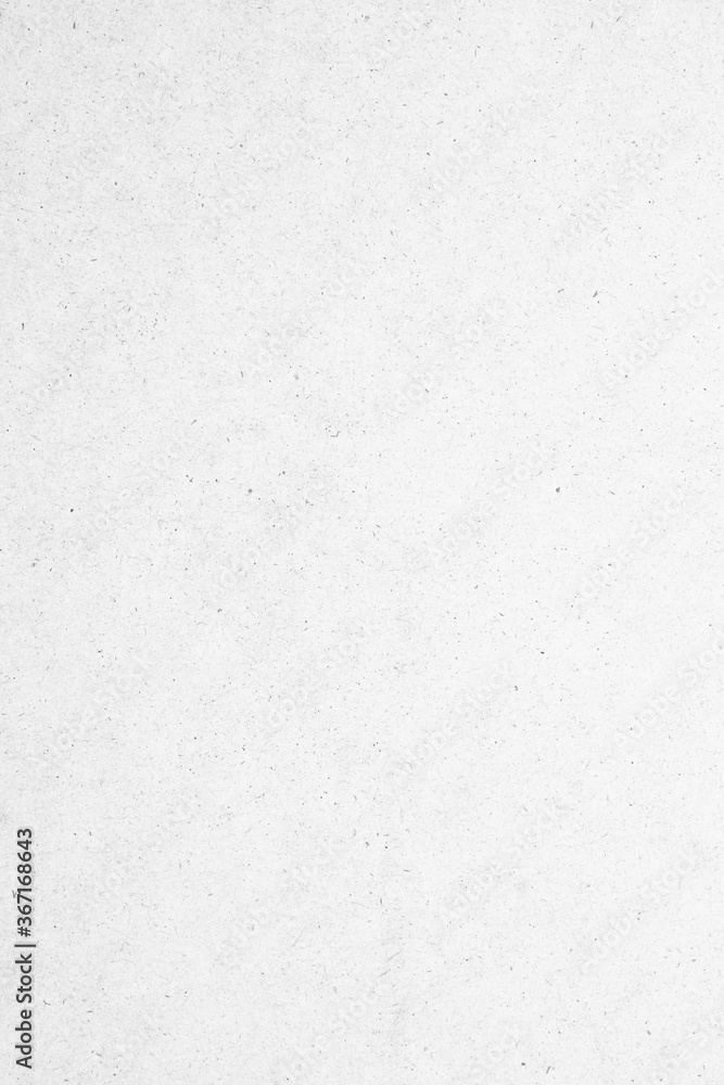 Fototapeta premium White recycle kraft paper cardboard surface texture background