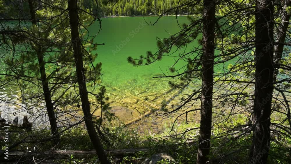 A beautiful mountain lake with clear green colored small water ripples with small ripples is framed by the silhouettes of pine trees.
A beautiful mountain lake with clear green colored small water ripples with small ripples is framed by the silhouettes of pine trees.