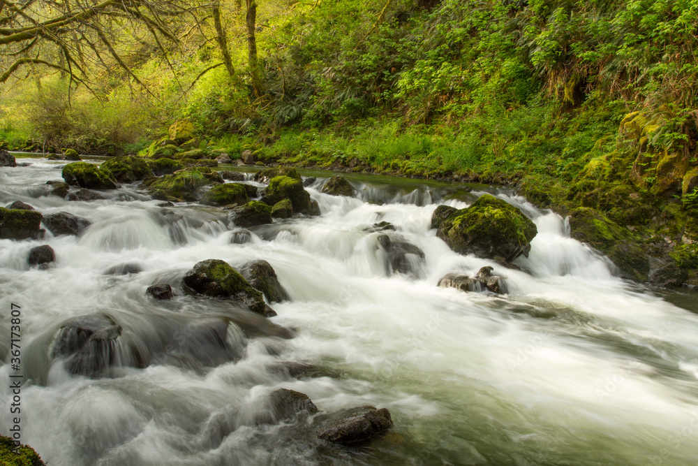 Rushing water cascading over and around rocks on the Little Nestucca River near Pacific City, Oregon.