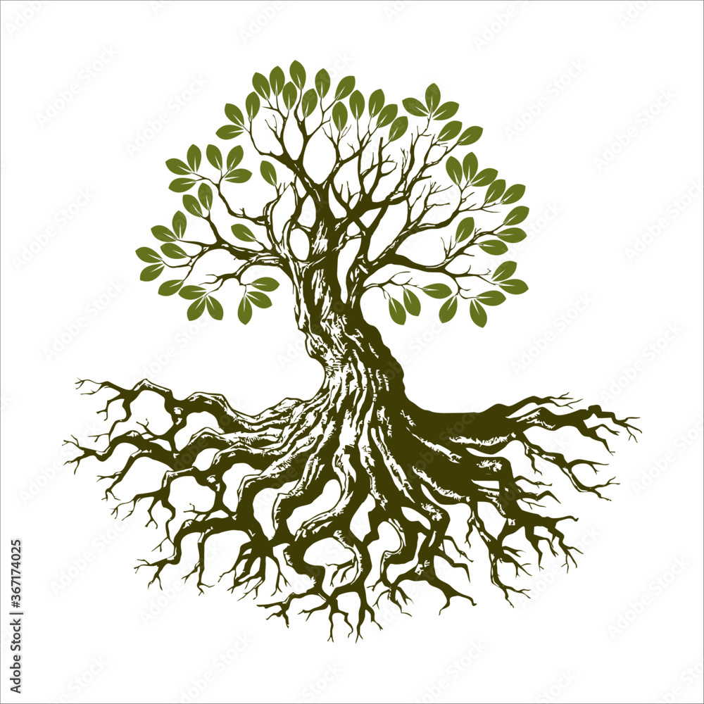 Dead Tree Roots Stock Illustrations – 566 Dead Tree Roots Stock  Illustrations, Vectors & Clipart - Dreamstime