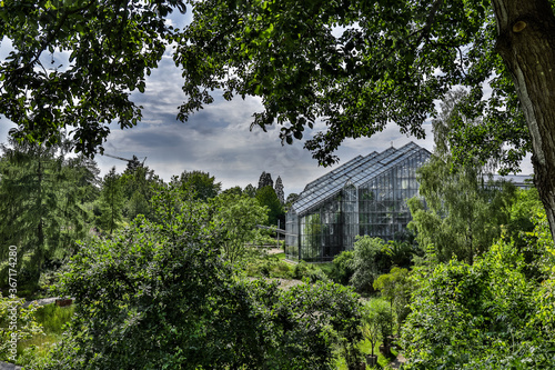 Botanischer Garten Osnabrück großes Gewächshaus