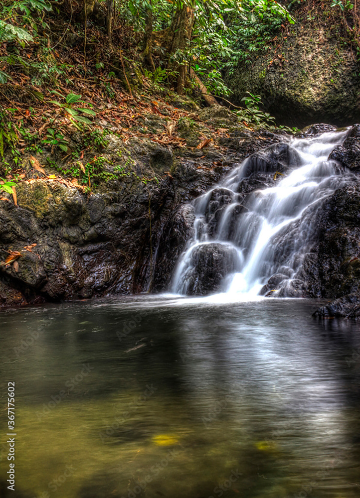 Fototapeta premium small waterfall in the forest