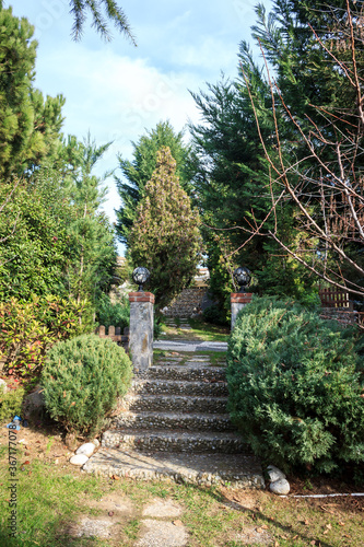 Stone stairs in home garden. Stairs with green pine trees and blue sky.