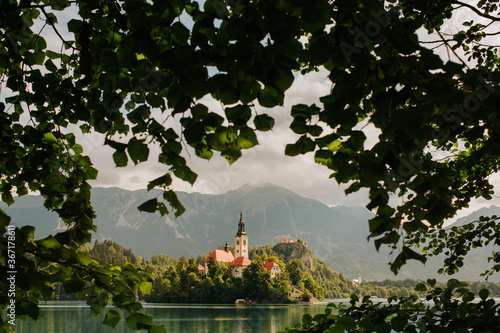 View of a small church on lake Bled in Slovenia. View through the leaves of a tree. Beautiful lake landscape with a church.