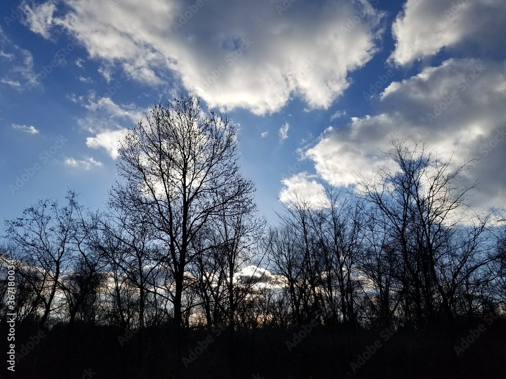 clouds and trees clouds and trees
