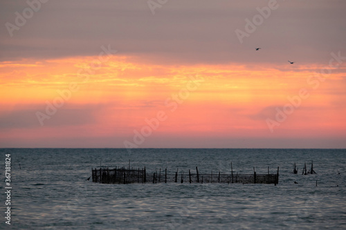 Traditional Fishing net Hadrah installed at Asker coast, Bahrain photo