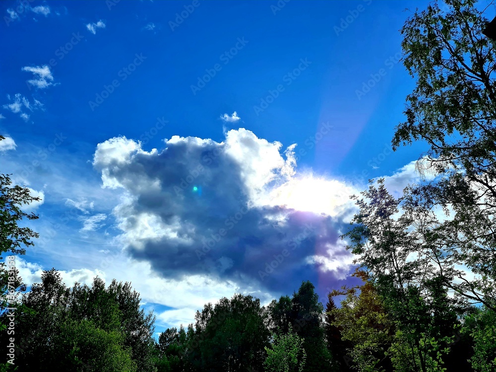 Obraz premium sky and clouds