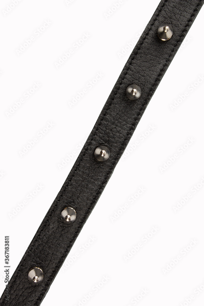 Selective focus black belt with spikes on a white background, close up with no shadows. Black belt with metal spikes for erotic games. Dressed around the neck. Isolate. Place for text. Selective focus black belt with spikes on a white background, close up with no shadows. Black belt with metal spikes for erotic games. Dressed around the neck. Isolate. Place for text.