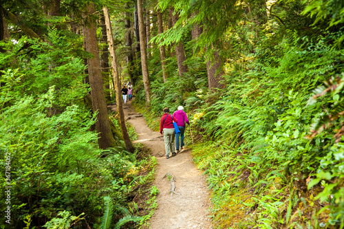Hikers on a trail at Oswald West State Park. It is part of the Oregon state park system and is located about 10 miles south of the city of Cannon Beach, on the Pacific Ocean