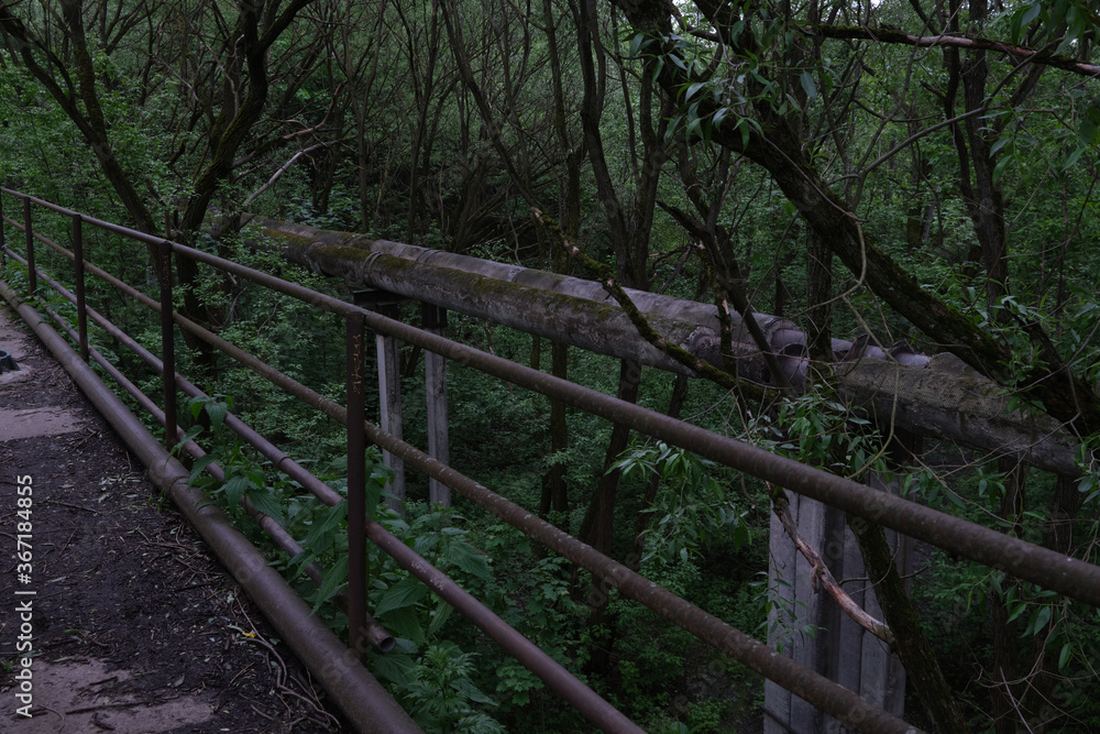 concrete bridge next to the pipeline in the thicket concrete bridge next to the pipeline in the thicket