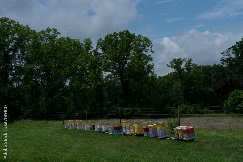 Farm sharing Community Supported Agriculture Fresh Produce Lifestyle