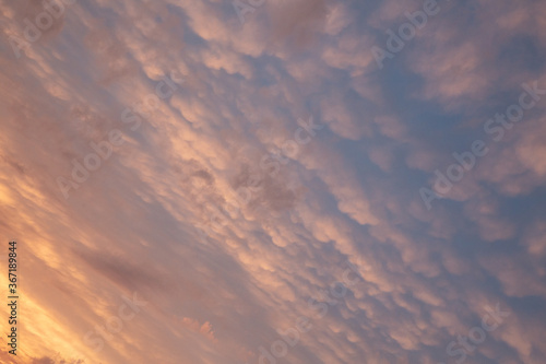 Beautiful red, pink. blue unusual feather clouds against the sky in sunrise, sunset, climate change, global warming.