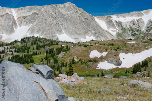Medicine Bow National Forest Snowy Range