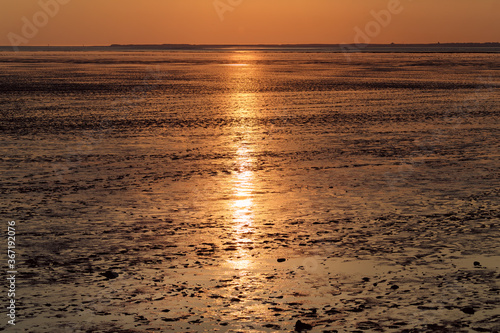 Fußspuren von Wanderern im Wattenmeer an der Nordseeküste im Sonnenlicht der Abenddämmerung - Stockfoto
