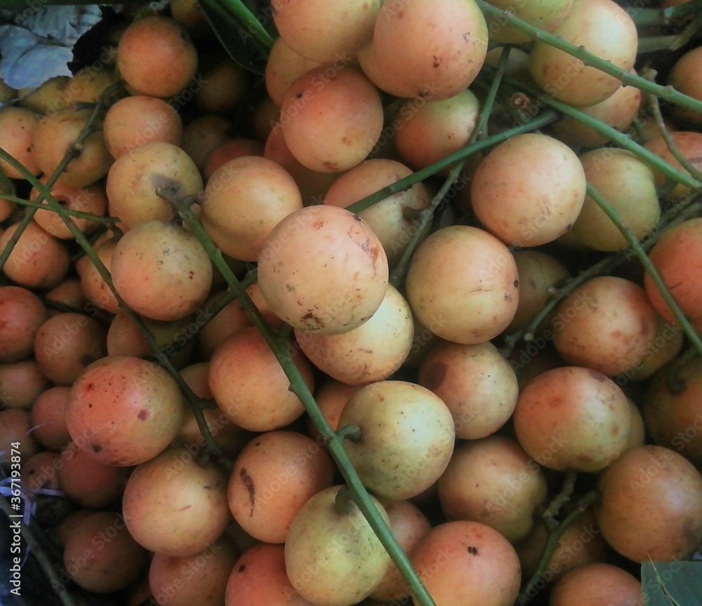Asian Raw Longan Fruit of Bangladesh Fruits Market Asian Raw Longan Fruit of Bangladesh Fruits Market