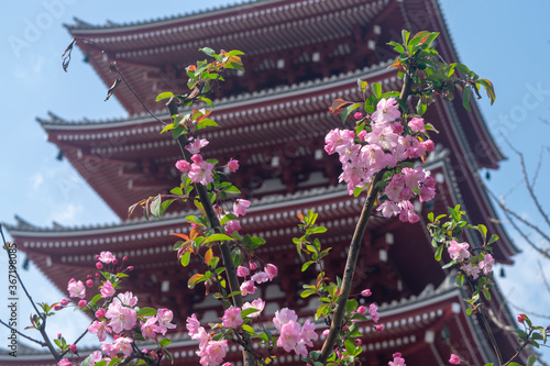 Tokyo, Japan
Senso-ji Tample
