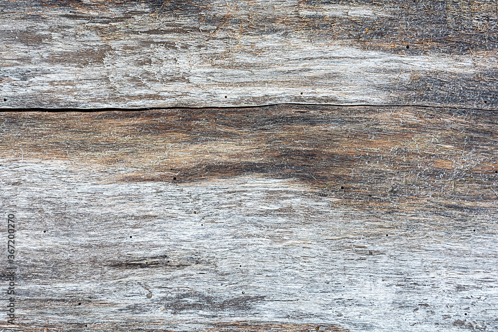 Naklejka premium old scratched wood board. Wood texture. Abstract background for project and design.