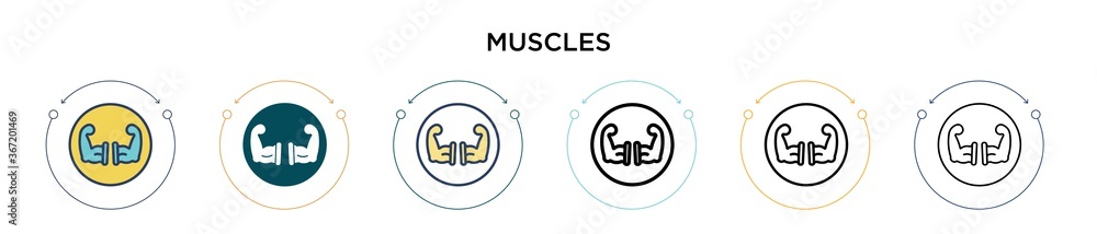 Multi Muscle Icon Muscles icon in filled, thin line, outline and stroke style. Vector ...