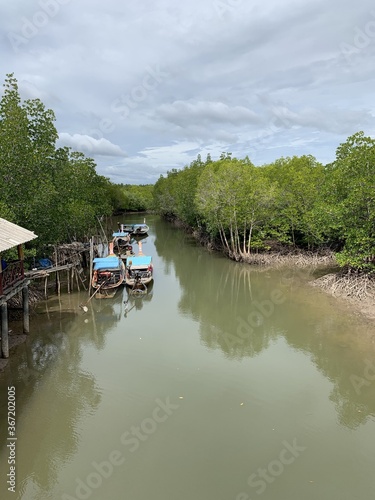 Port d'une mangrove à Koh Lanta, Thaïlande