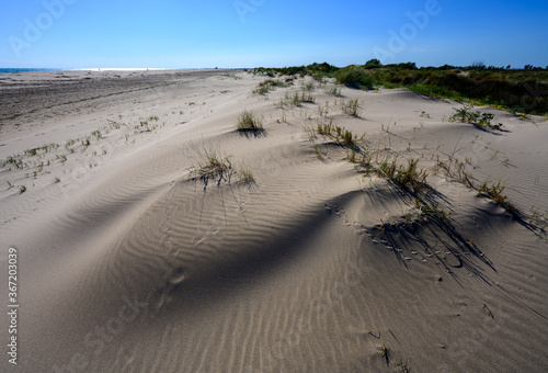Dune sur la plage de Pi  manson