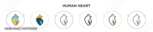 Human heart icon in filled, thin line, outline and stroke style. Vector illustration of two colored and black human heart vector icons designs can be used for mobile, ui, web