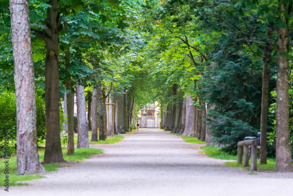 Frau läuft entlang einer Allee im Hofgarten Bayreuth. Tageslicht und grüne Blätter. 24.07.20 Bayreuth, Deutschland