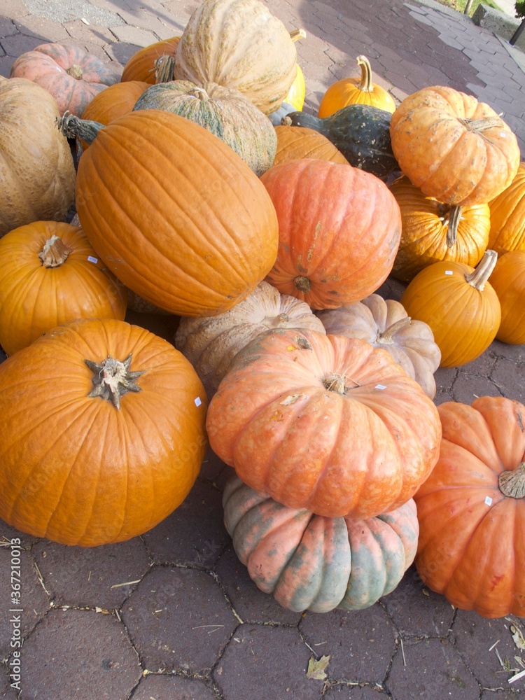 Pumpkins Pumpkins