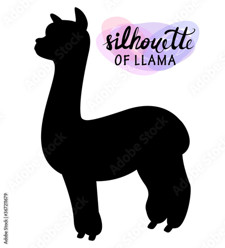 set of silhouettes of llamas and alpacas isolated on white realistic
