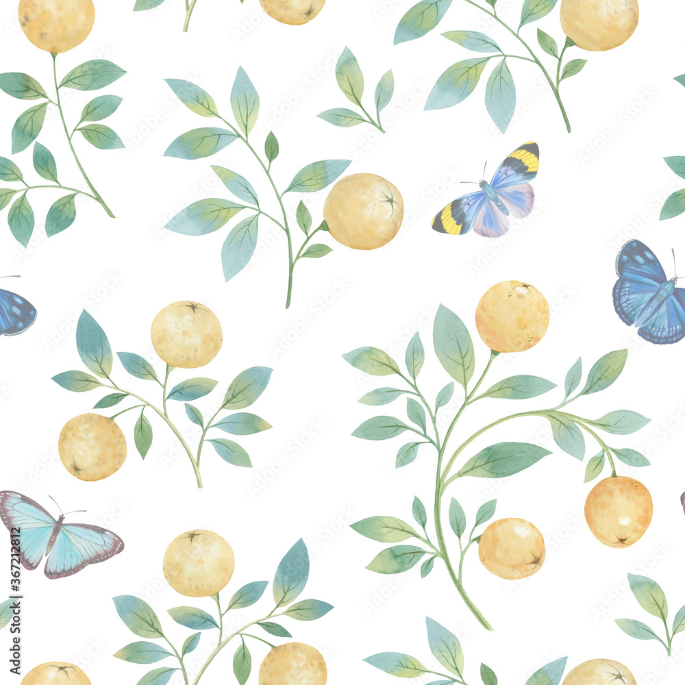 Orange tropical fresh fruits hand draw watercolor illustration. Seamless botanical pattern with oranges and butterflies on a white background.