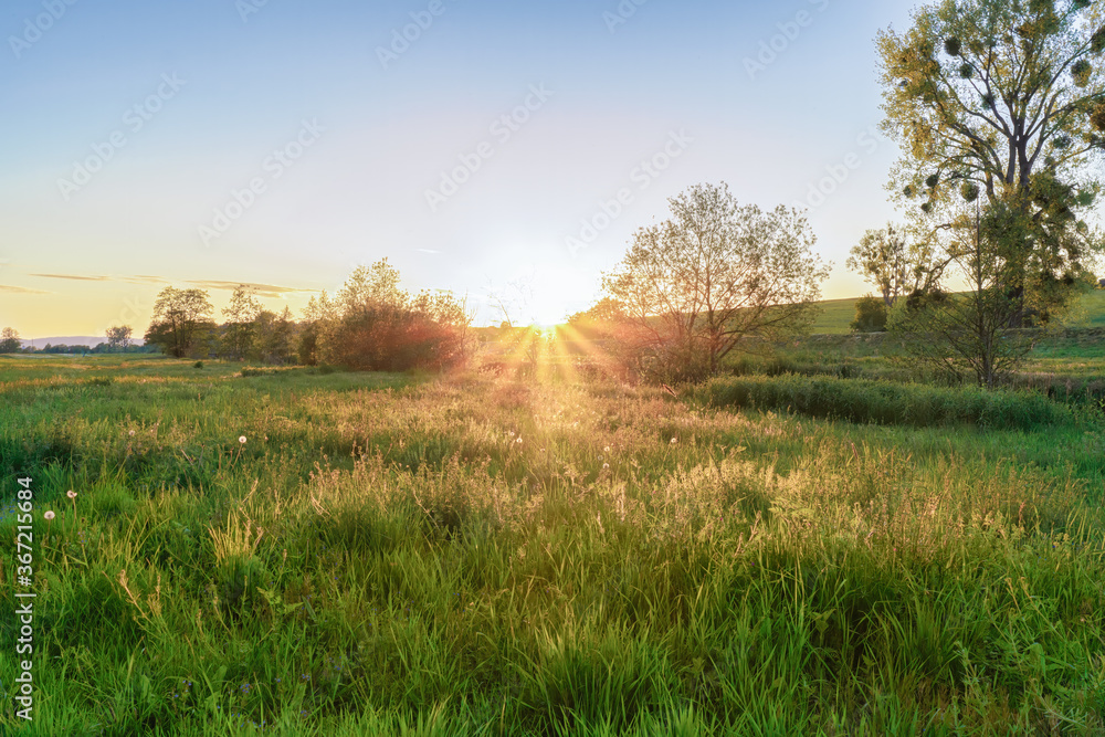 An idyllic evening landscape on a meadow field An idyllic evening landscape on a meadow field