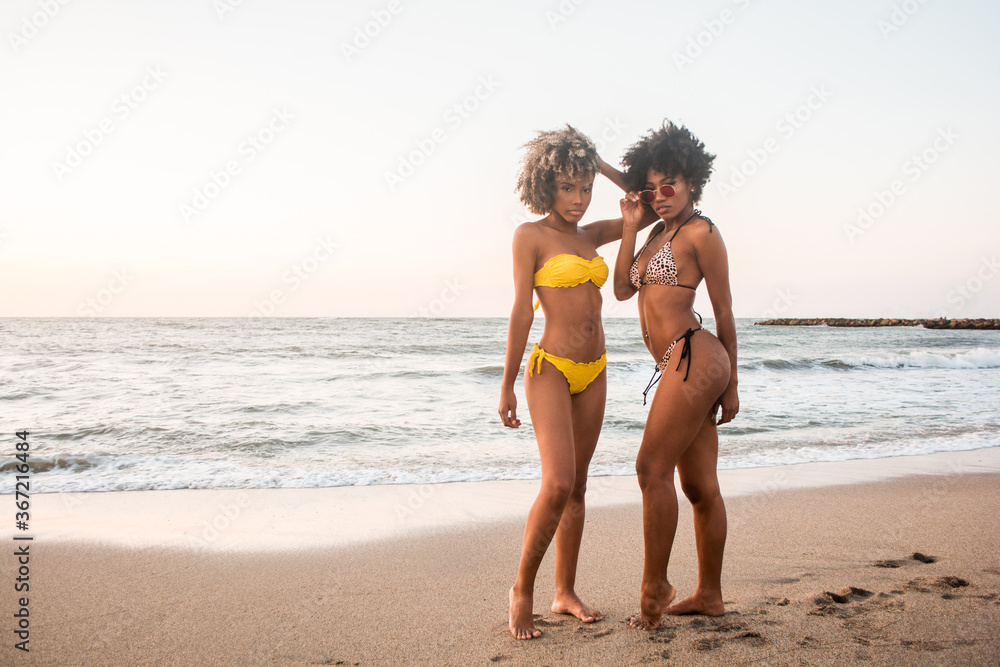 Two young brunette women on the seashore wearing swimsuits, full body, horizontal