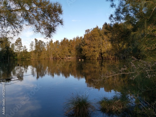 Beautiful view of a pond in a nature reserve with reflections of blue sky, light clouds and trees on water, Newington Nature Reserve, Newington, Sydney, New South Wales ,Australia