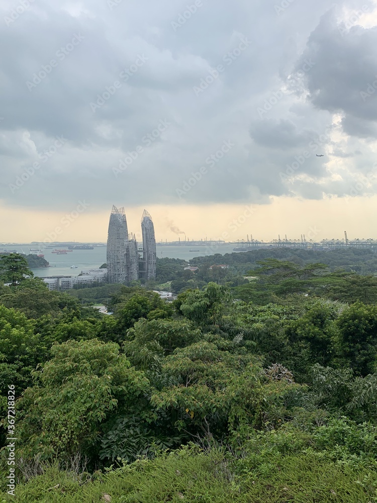 Forêt et gratte-ciels à Singapour Forêt et gratte-ciels à Singapour