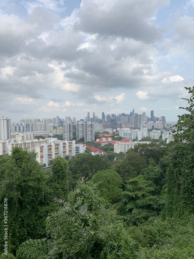 Obraz premium Forêt et paysage urbain à Singapour