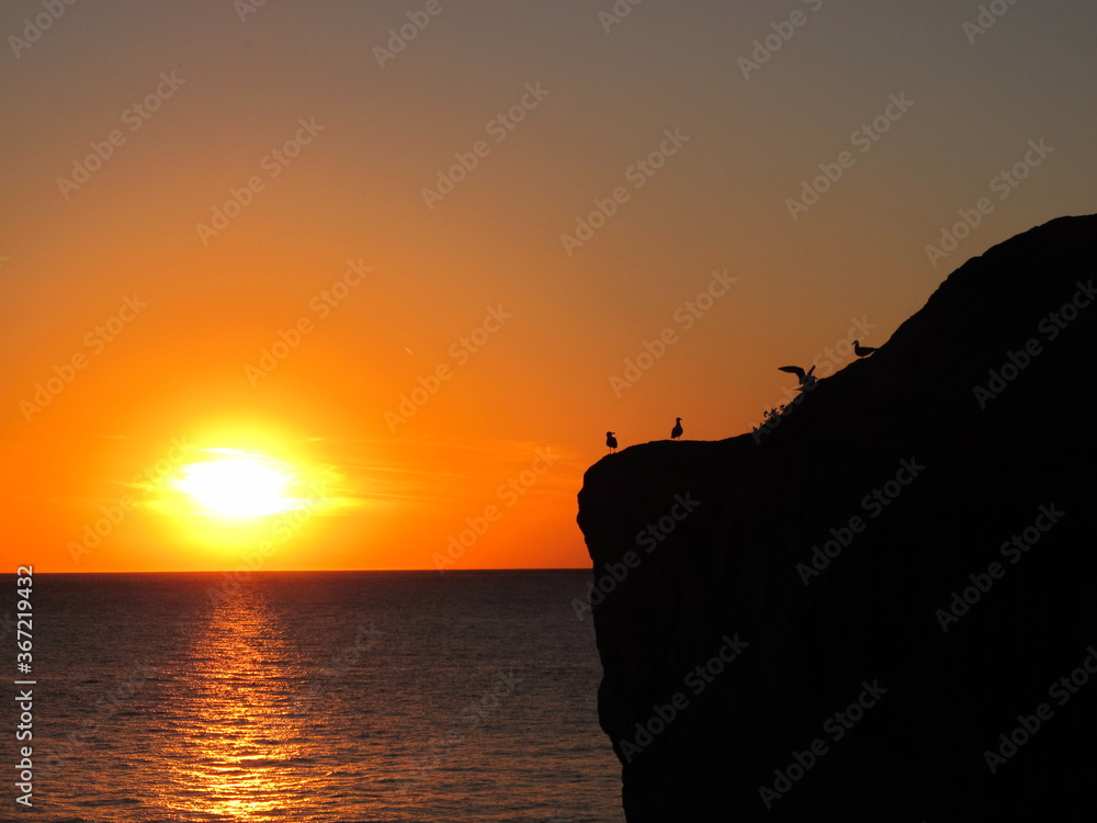 Sunset on the seashore, silhouettes of seagulls, rocks against the background of a bright orange sky and the sun on the horizon